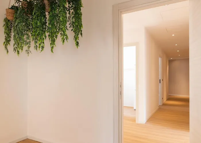 Ampio Vicino Al Vaticano *